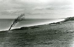 Omaha beach