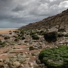 Omaha Beach 