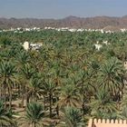 Oman 2004 Nizwa