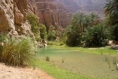 Oman 2004 Wadi Shab
