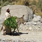 Oman 2008 -18 „Der Bergbauer“