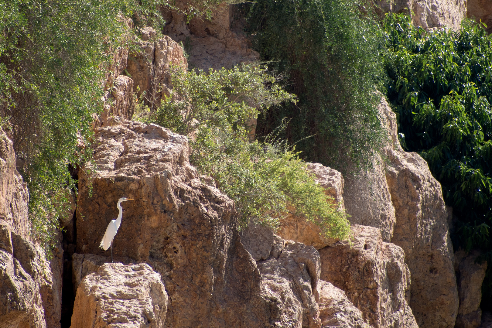 Oman 2013 - 019