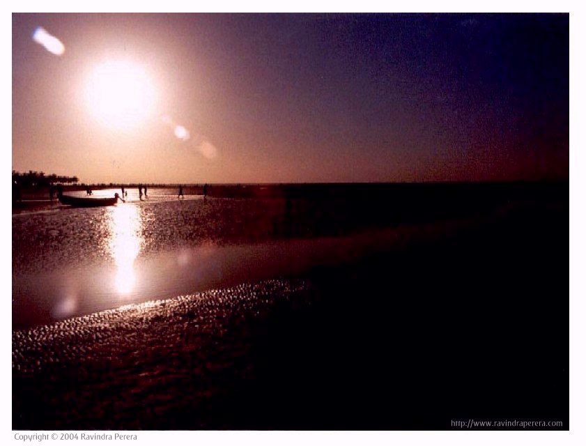 Oman Beach