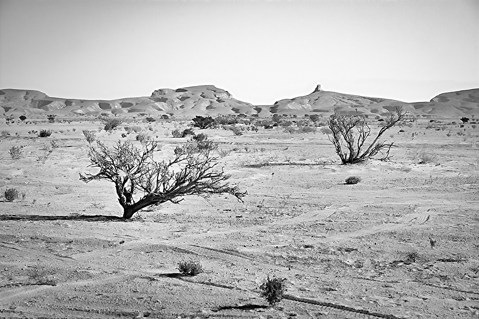 Oman desert near Ibri