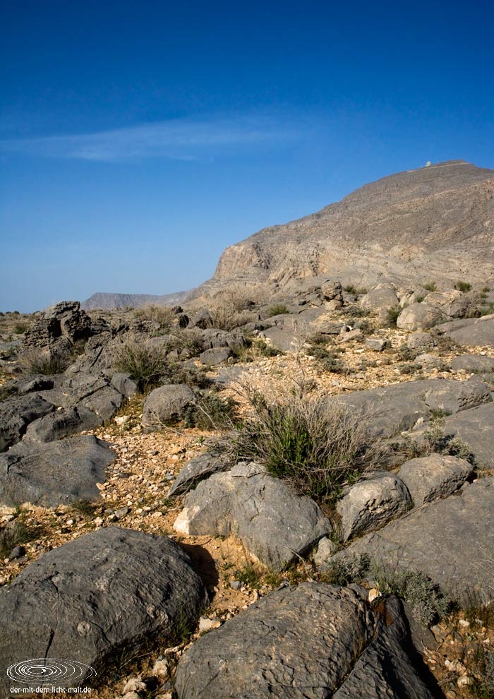 Oman - Musandam - Around Jebel Harim V
