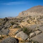Oman - Musandam - Around Jebel Harim V