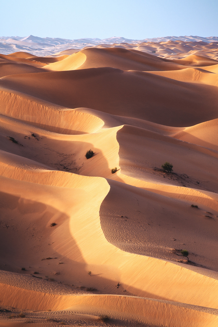 Oman - Rub Al Khali