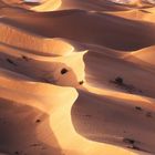 Oman - Rub Al Khali