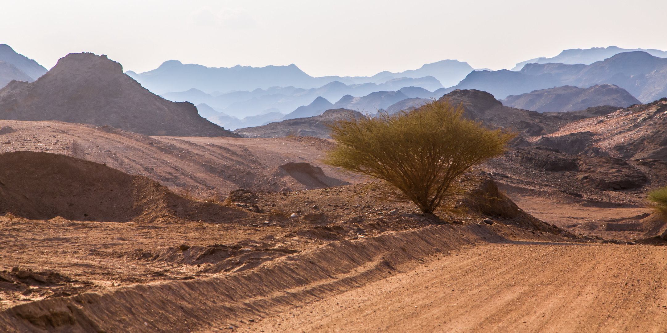 Oman Scape