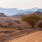 Oman Scape