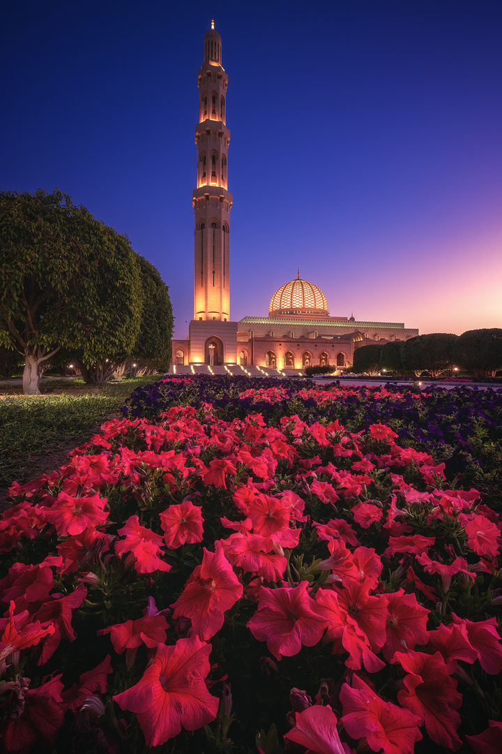 Oman - Sultan Qaboos Mosque in Maskat