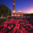 Oman - Sultan Qaboos Mosque in Maskat