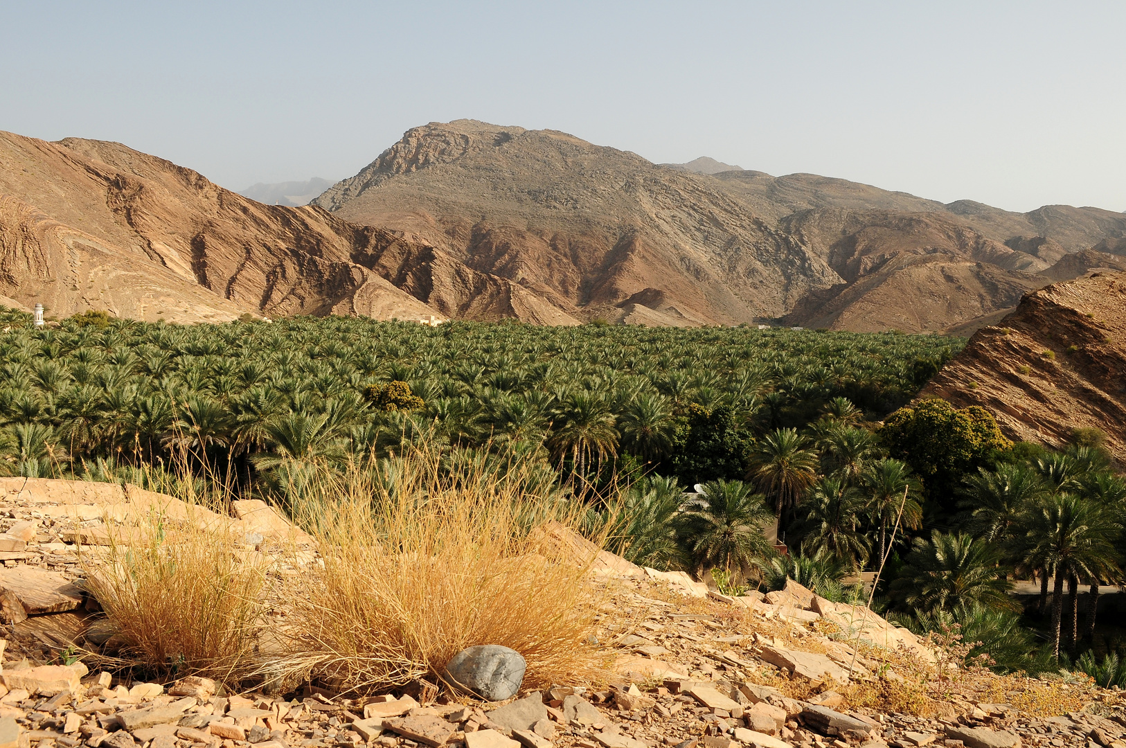 Oman zu Fuß - Palmenoase bei Nizwa