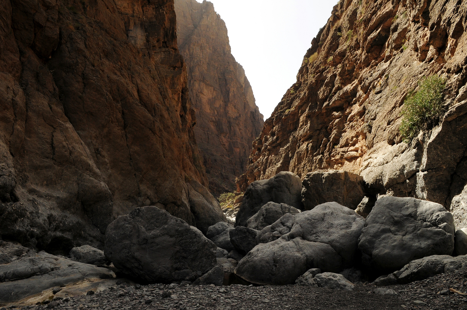 Oman zu Fuß - Wadi Muaedyn (2)