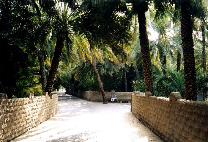 Omanreise April 2003