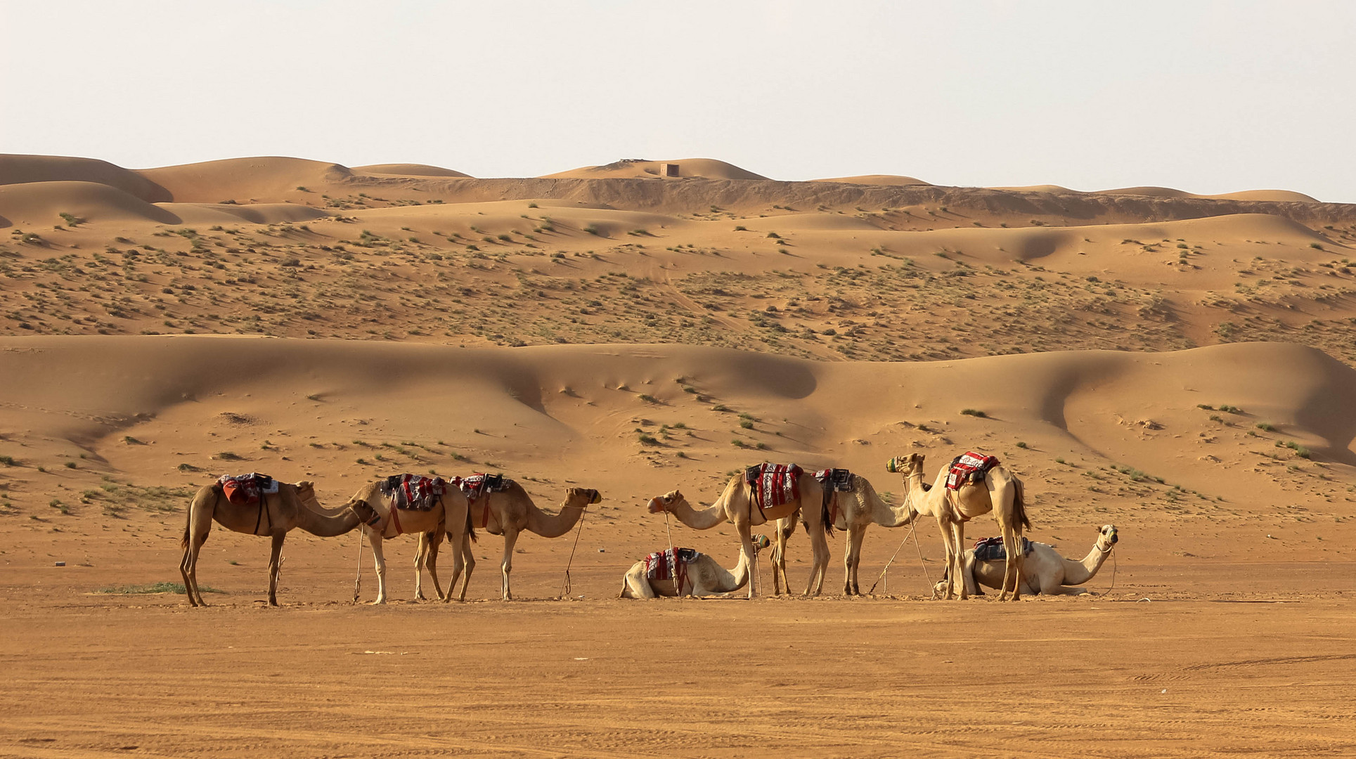 Oman_street_31