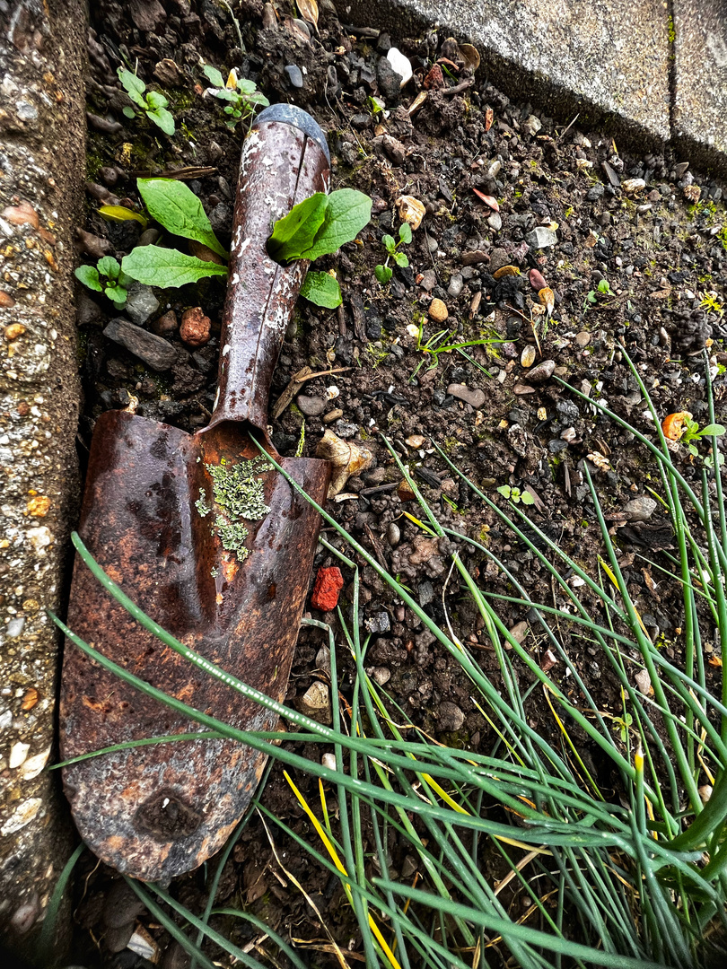 Omas Schaufel im Garten 