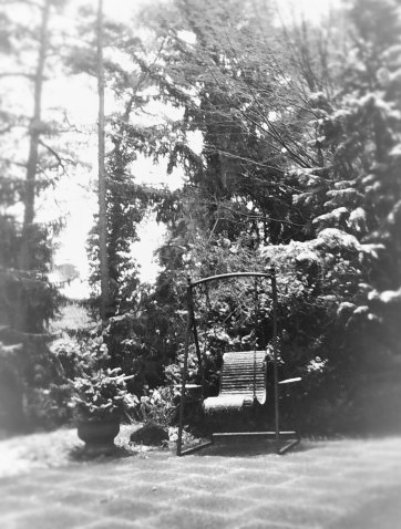 Oma´s Wald garten im Winter