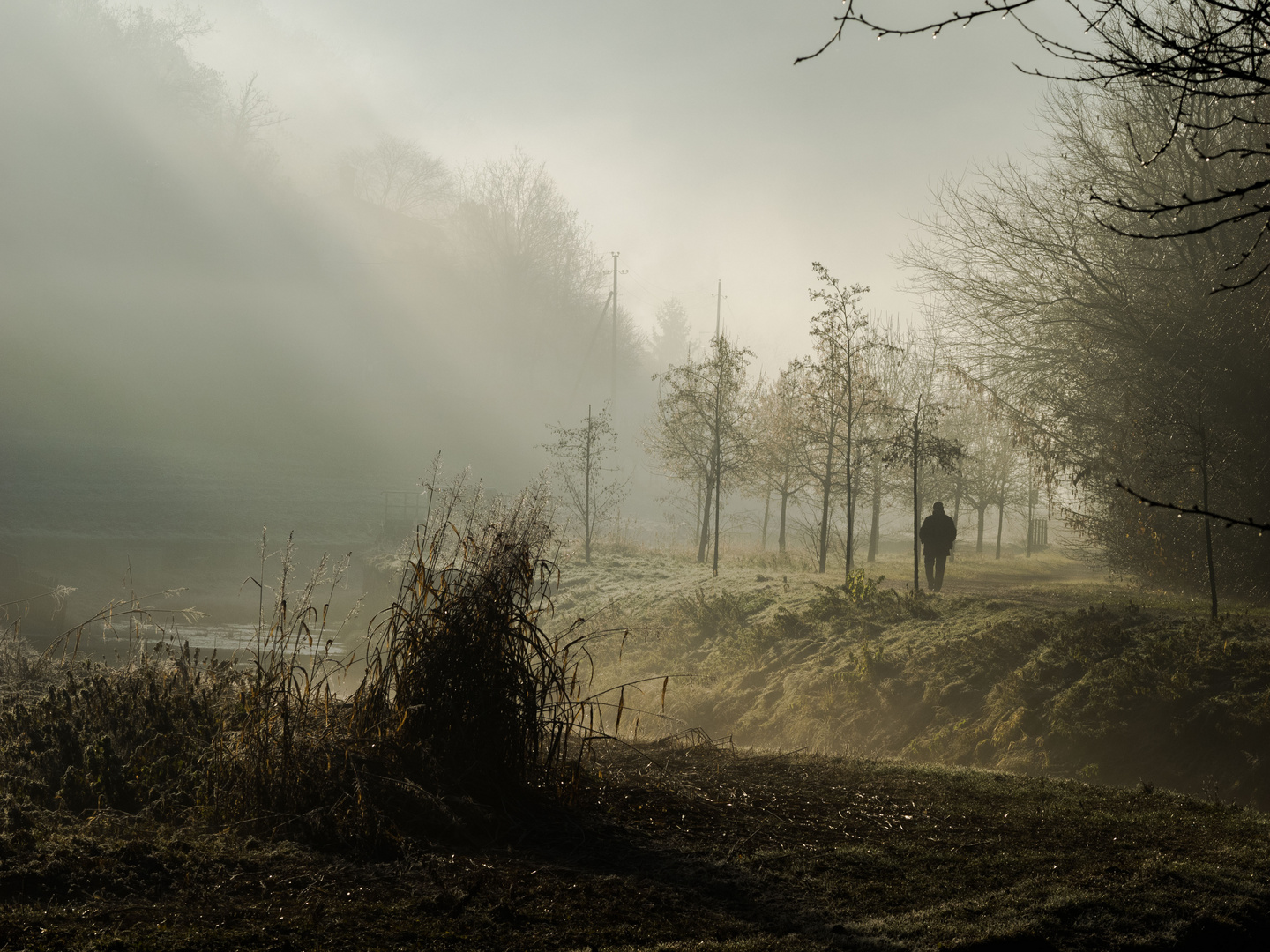 ombra nella nebbia