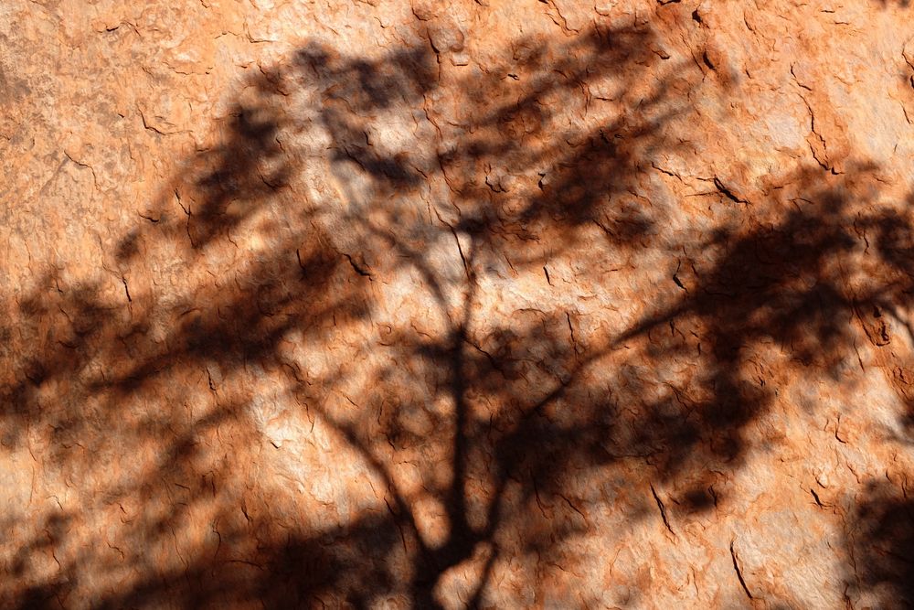 Ombra su roccia rossa