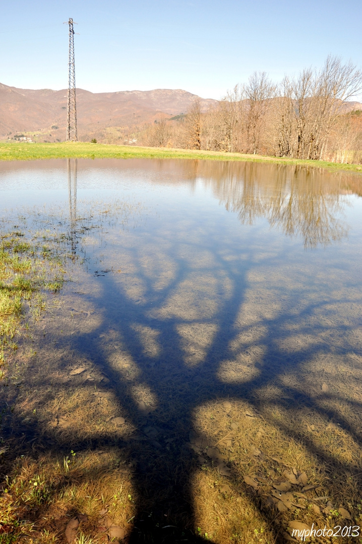 ombra sul lago