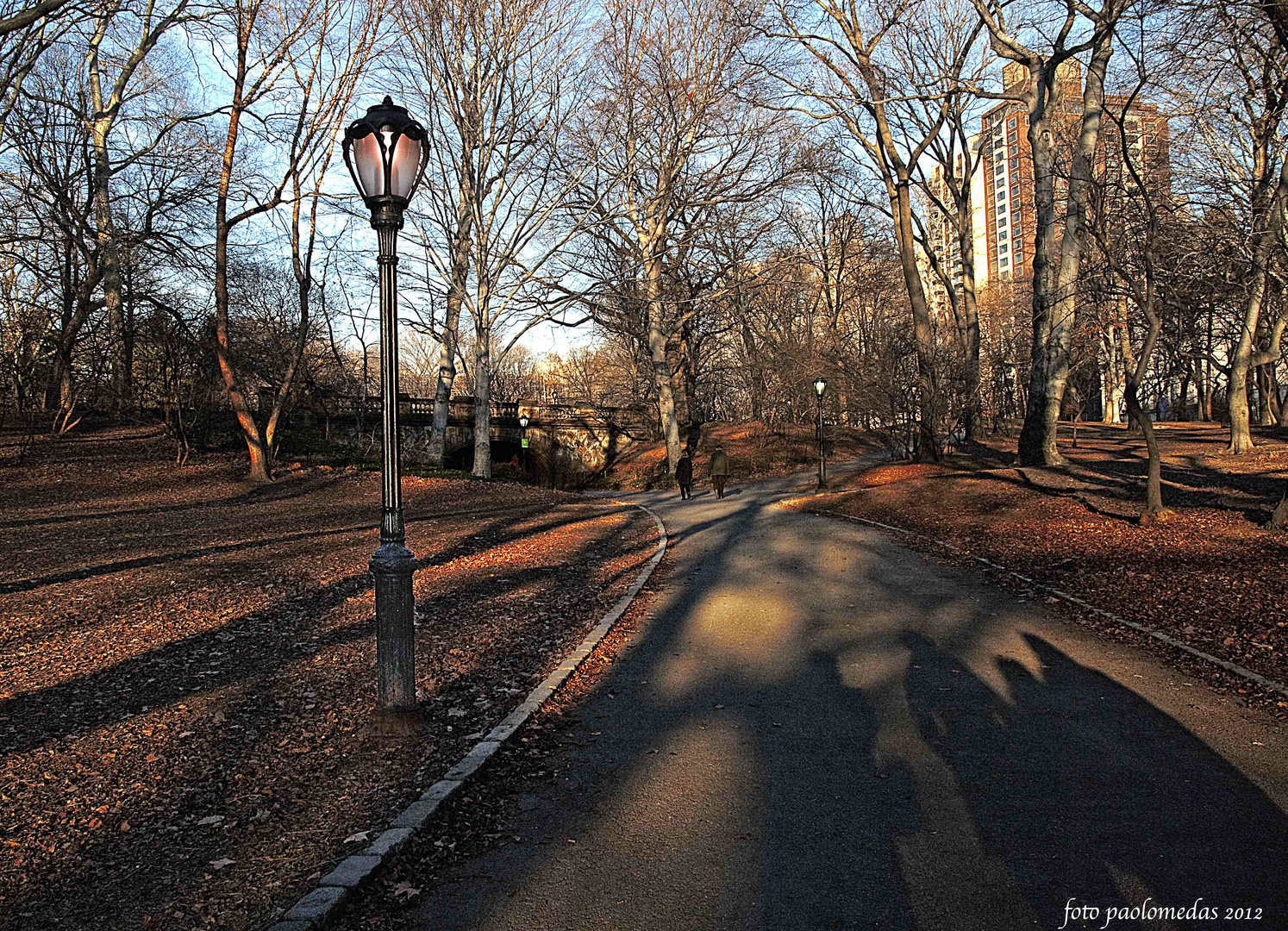 ombre al Central Park