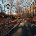 ombre al Central Park