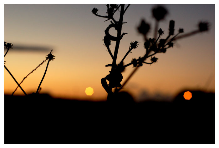 Ombre al tramonto