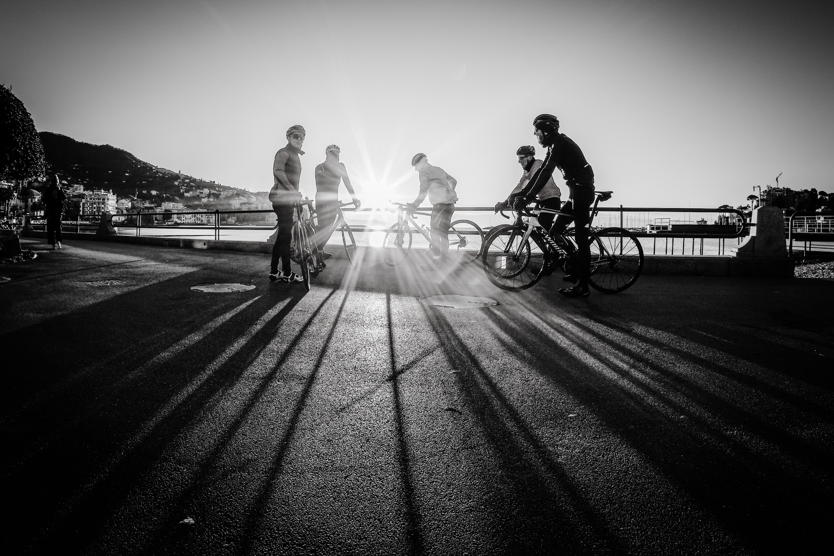 Ombre di ciclisti 