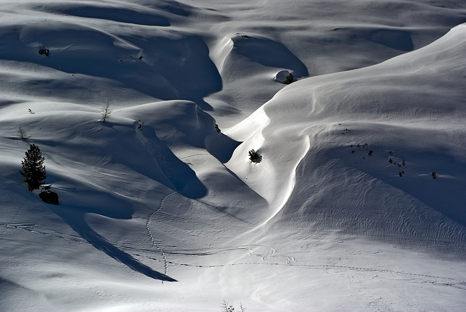 Ombre di Neve