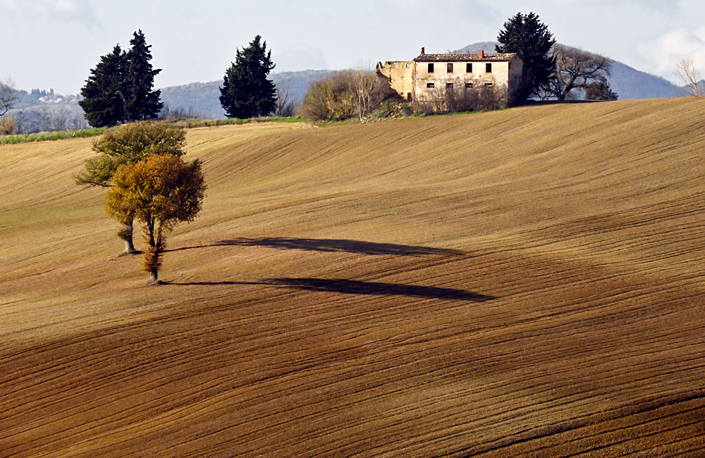 Ombre di velluto