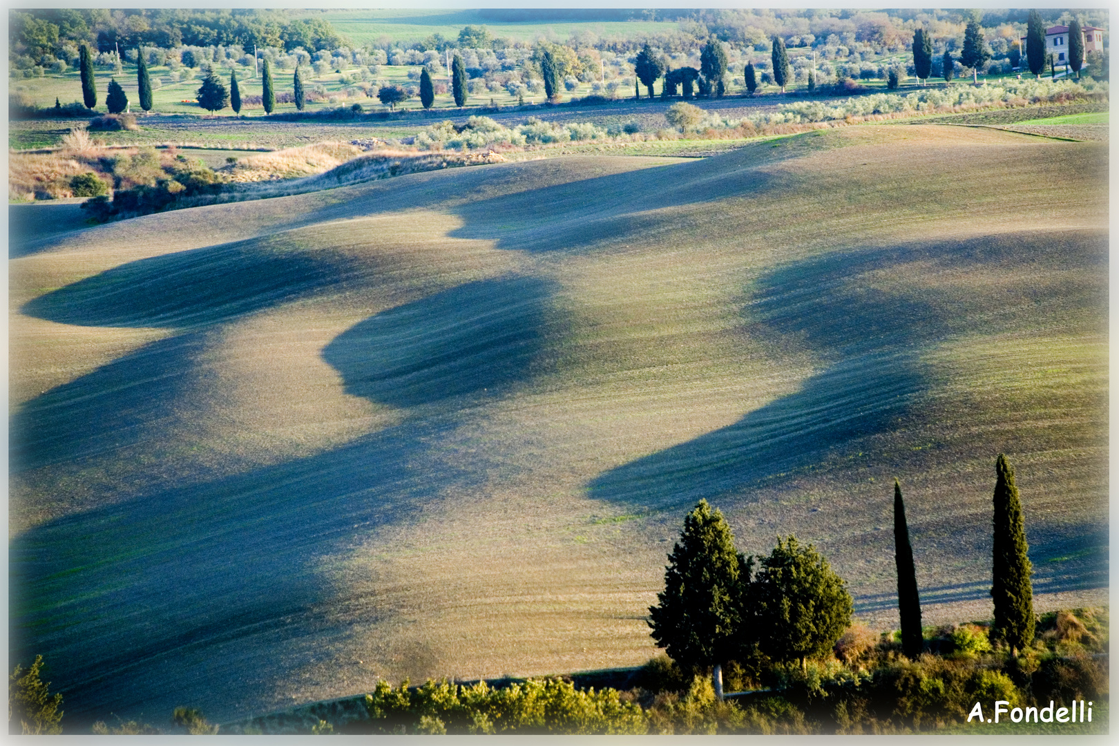 Ombre e Luci - Pienza