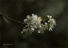 ombre et lumiere