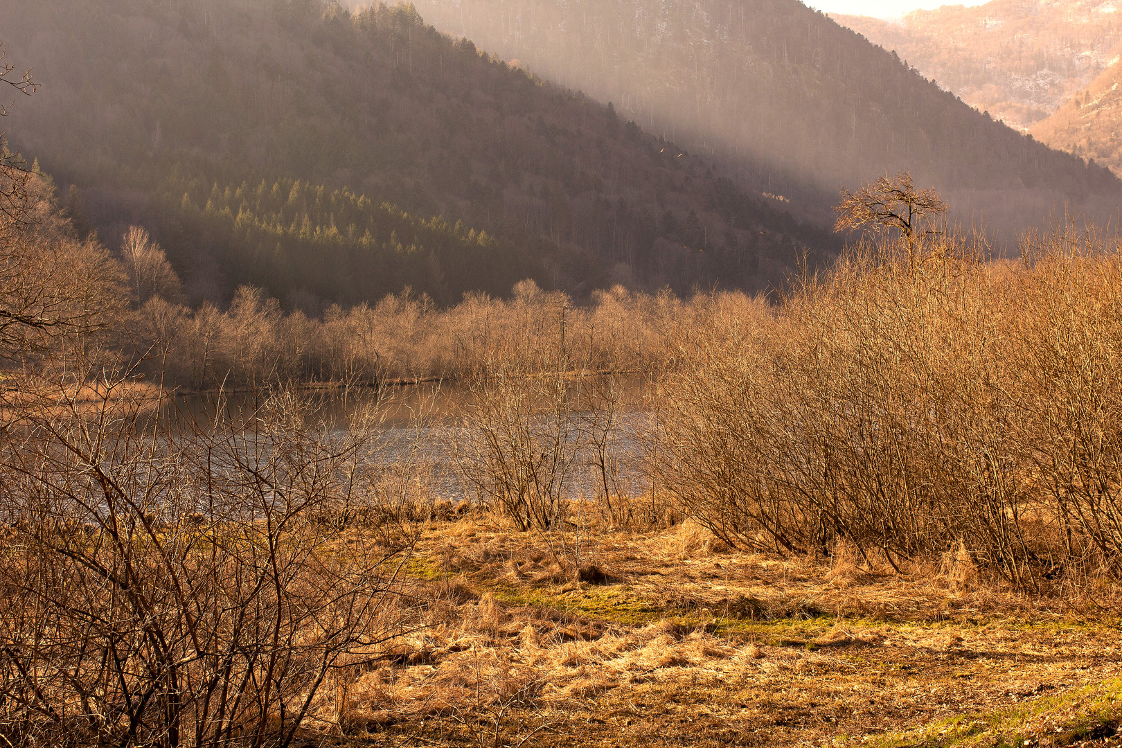 ombre et lumière hivernal.