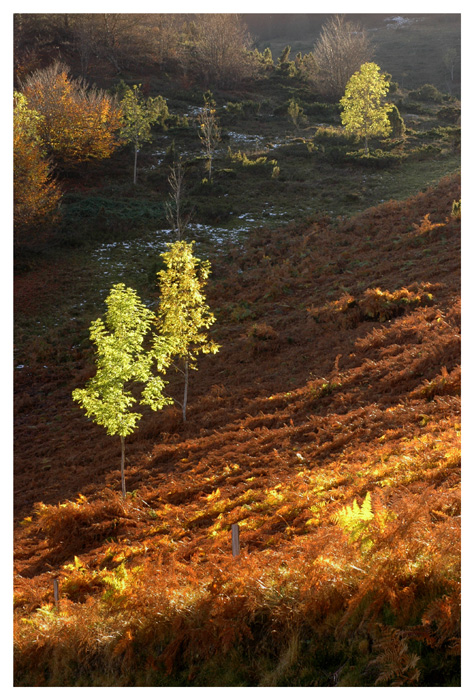 Ombre et lumière - Pyrénées