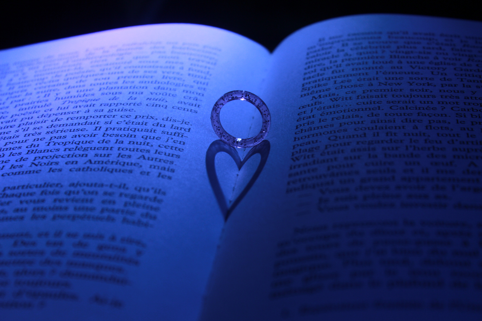 ombre : l amour de la lecture