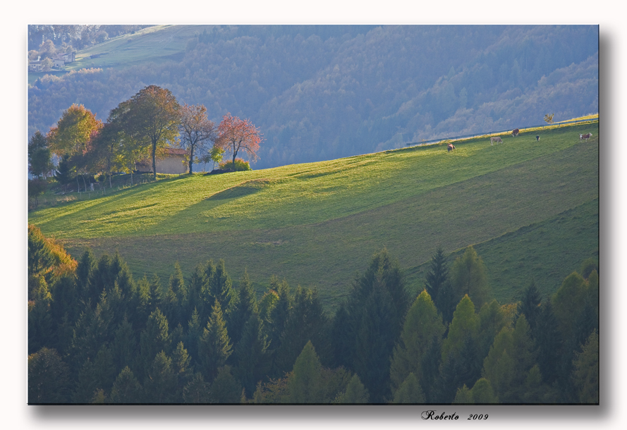 ombre lunghe