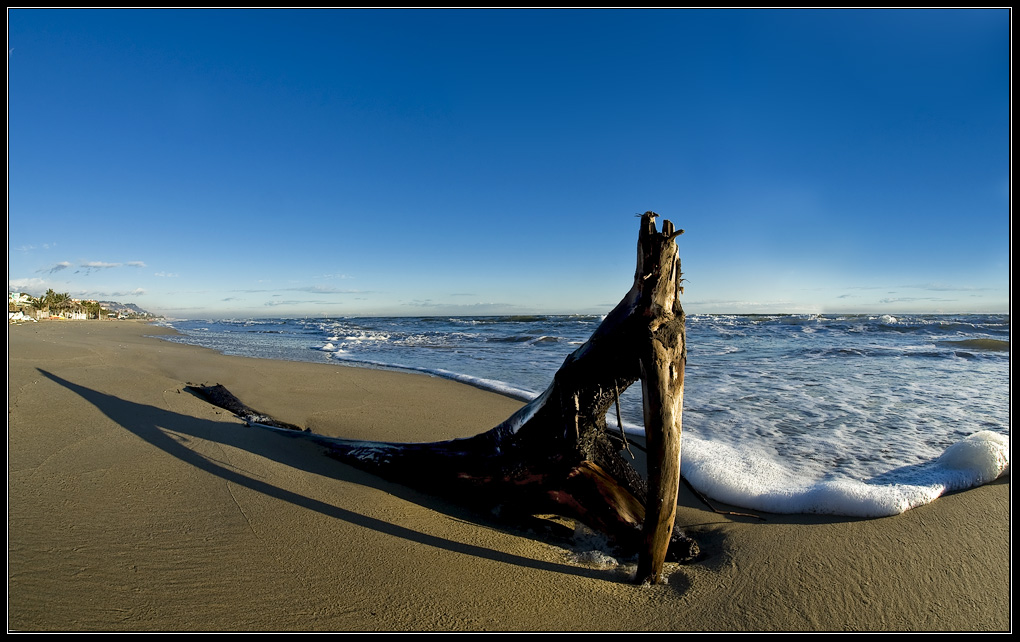 ombre marine