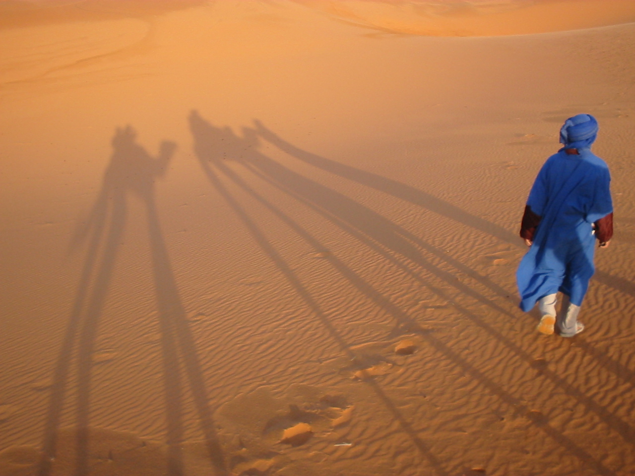 ombre nel deserto