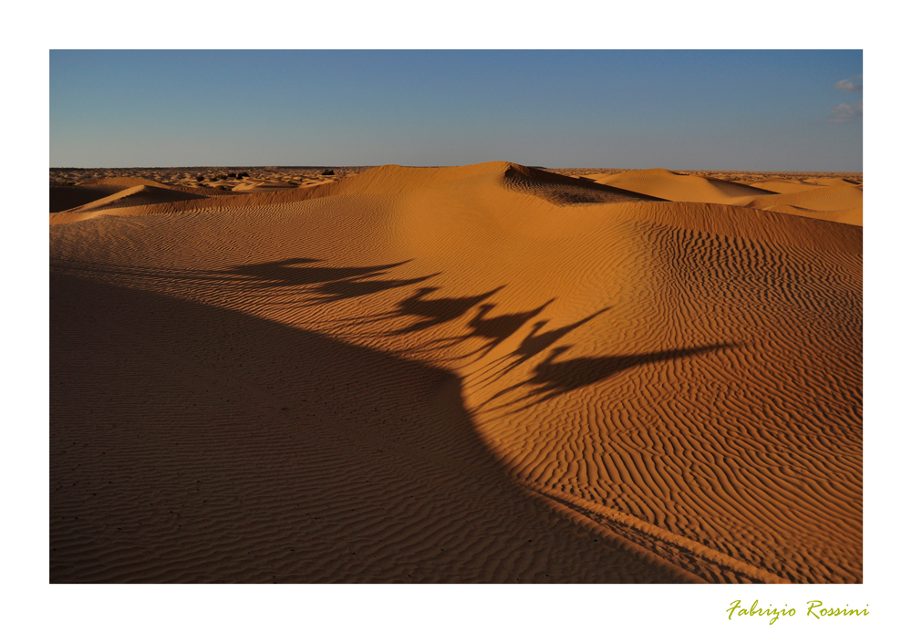 Ombre nel sahara