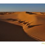 Ombre nel sahara