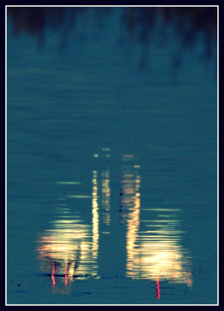 ombre nella laguna di orbetello