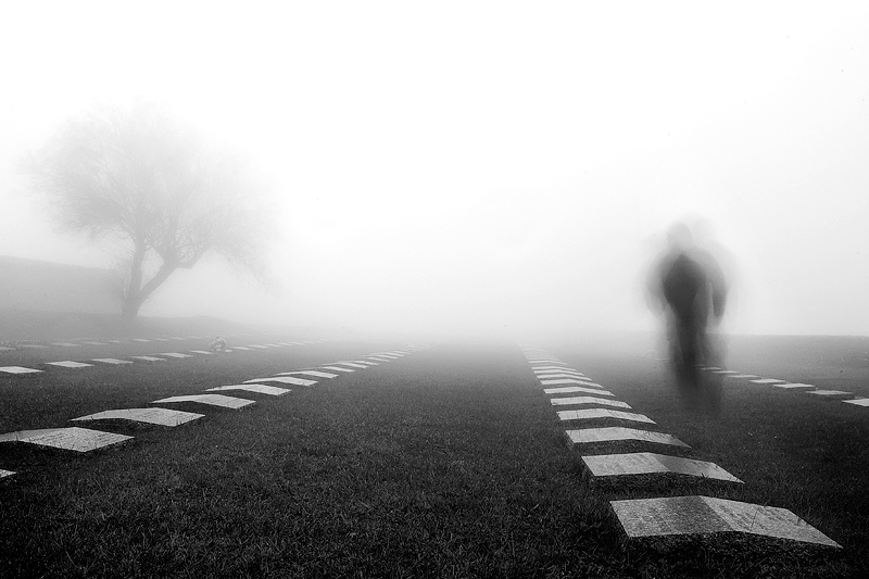 ombre silenziose di Marco Lascialfari 