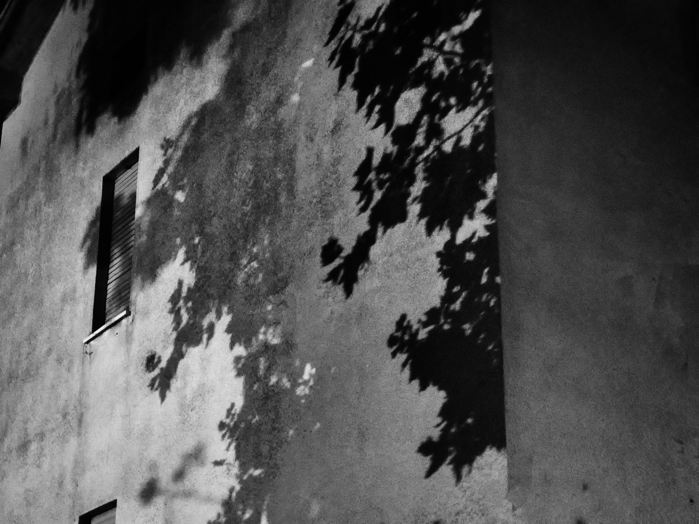 Ombre sul muro