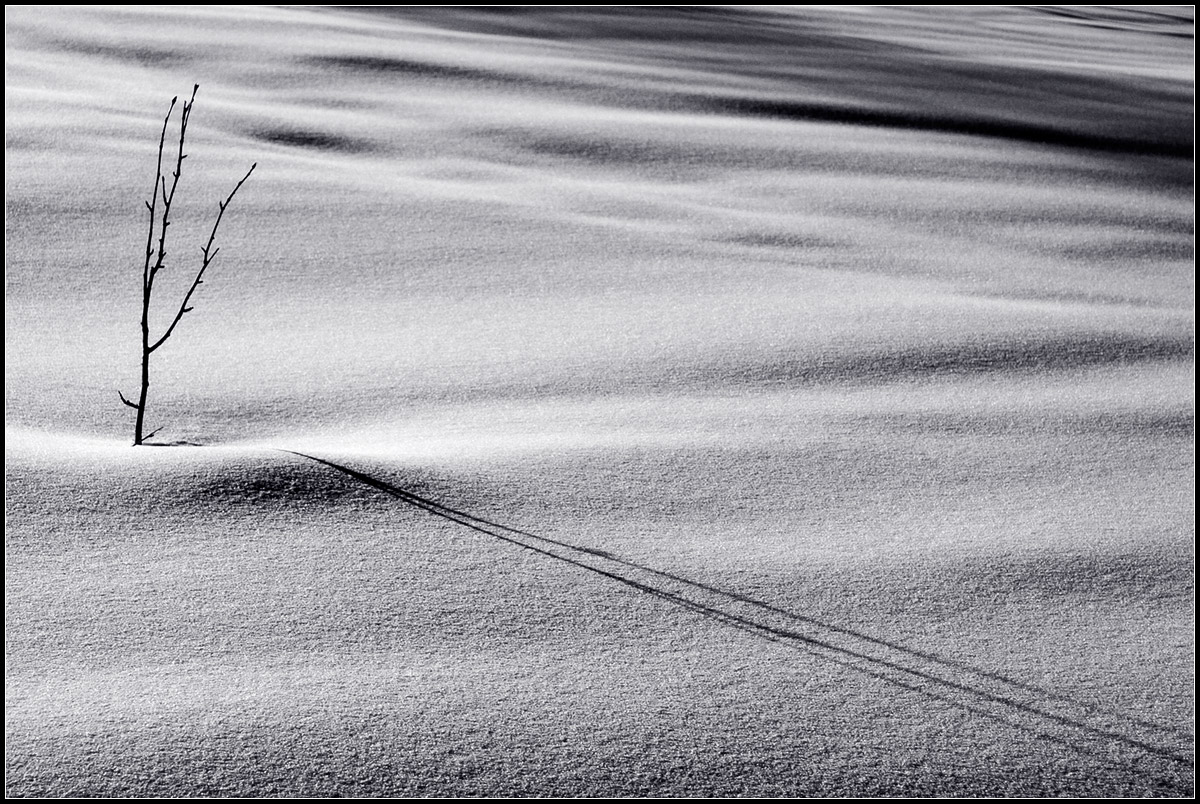 Ombre sulla neve