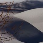 ombre sulla neve