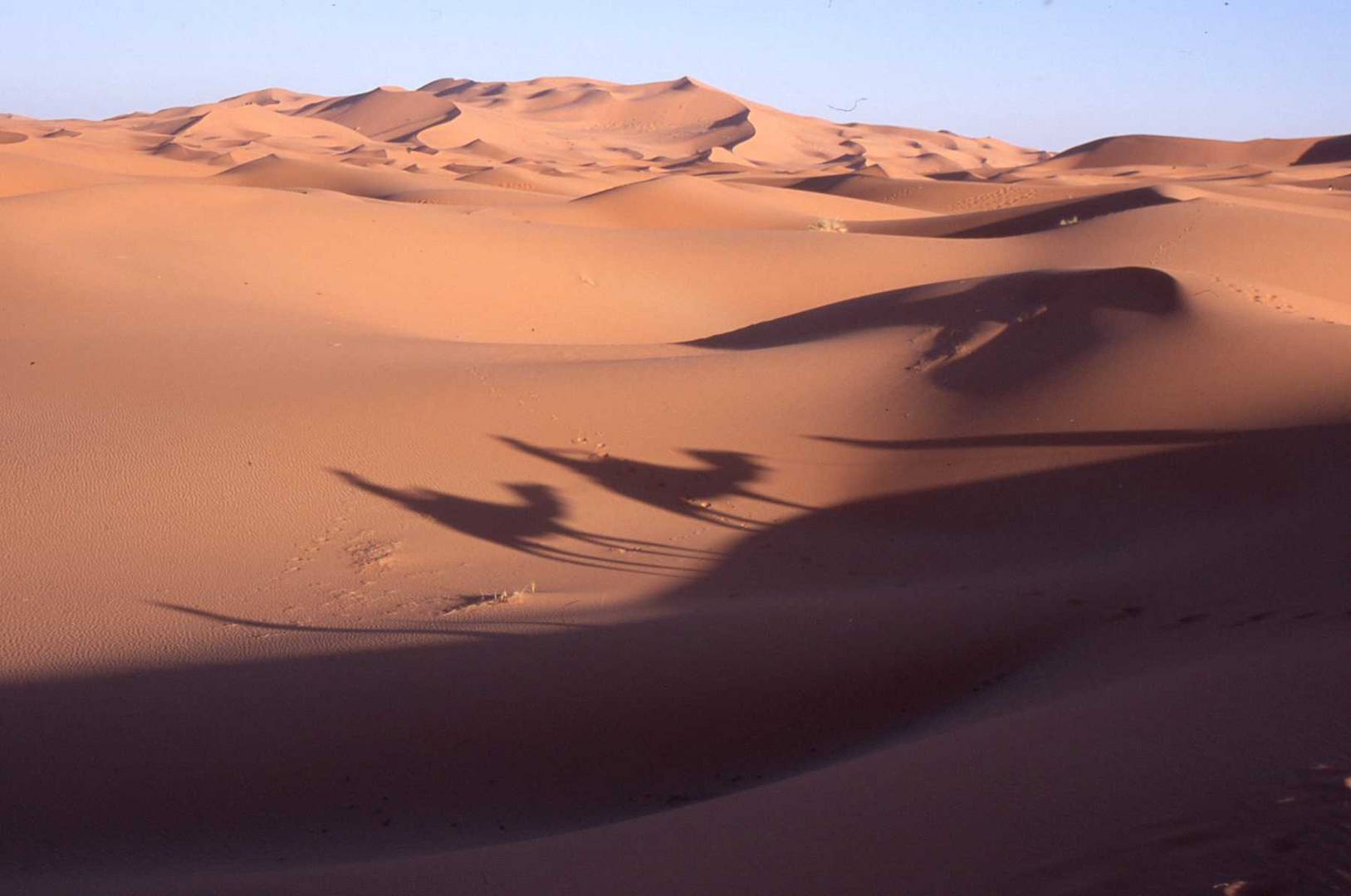 Ombre sulle dune