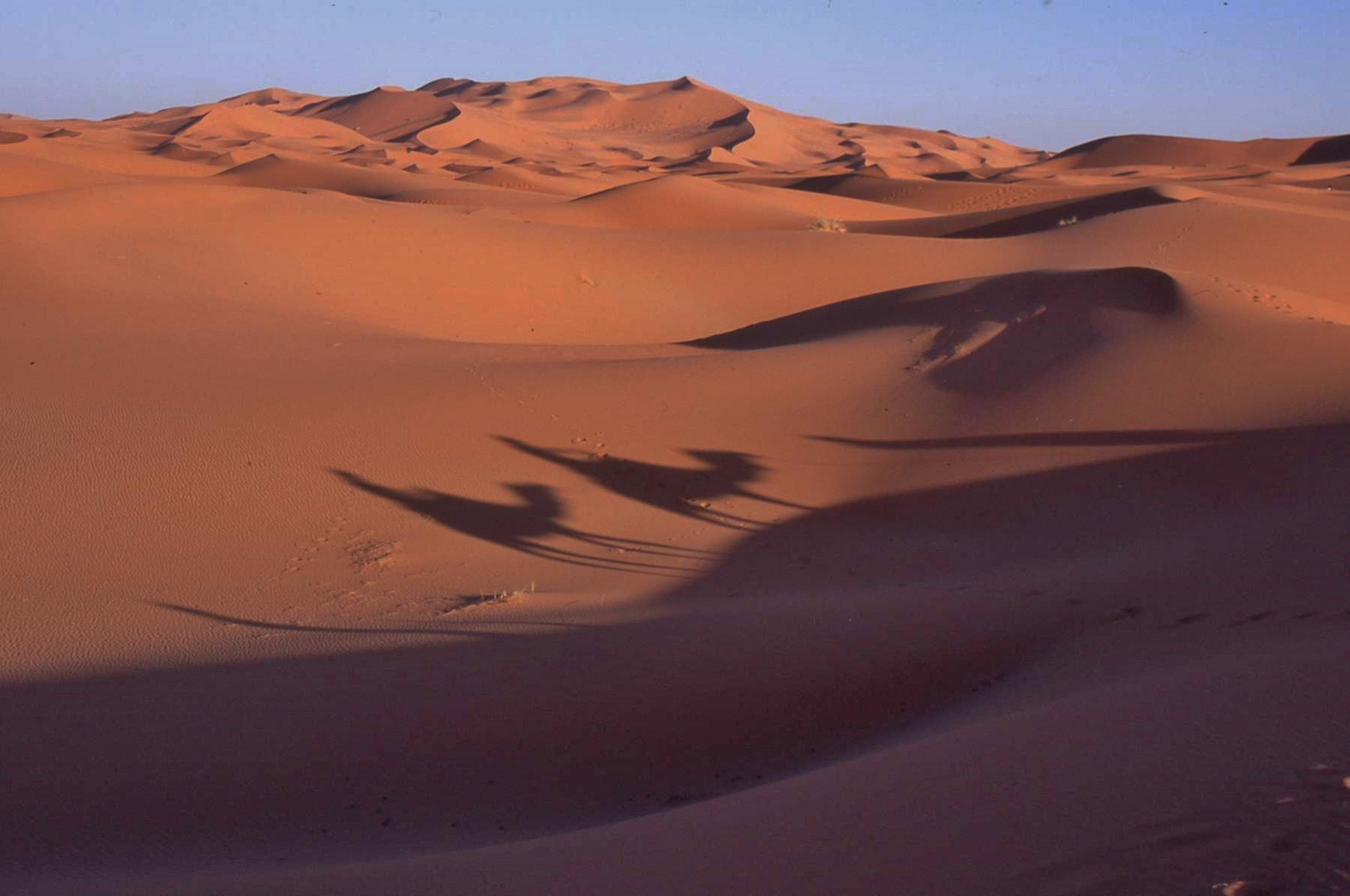 Ombre sulle dune