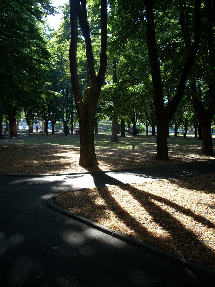 Ombres et lumière ...