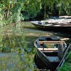 ombres et lumière sur le marais poitevin